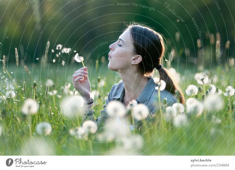 * ° * °° * * ° * schön harmonisch Wohlgefühl Zufriedenheit Erholung ruhig Mensch feminin Junge Frau Jugendliche Leben Kopf 1 Umwelt Natur Pflanze Frühling Gras