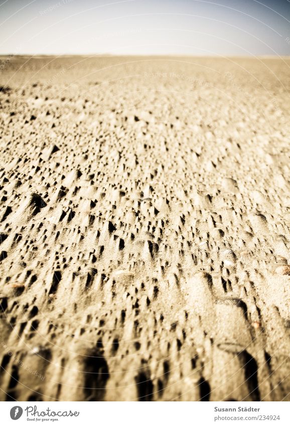 Spiekeroog | autschn Natur Sand Küste Strand Nordsee Wüste nah Mars Marslandschaft Naturgewalt Farbfoto abstrakt Muster Strukturen & Formen Sonnenlicht