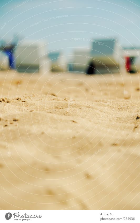 Strandsand Sommer Meer Natur Sand Schönes Wetter Wärme Küste Ostsee Warnemünde Darß Prerow träumen Stimmung Glück Zufriedenheit Trägheit Farbfoto Außenaufnahme