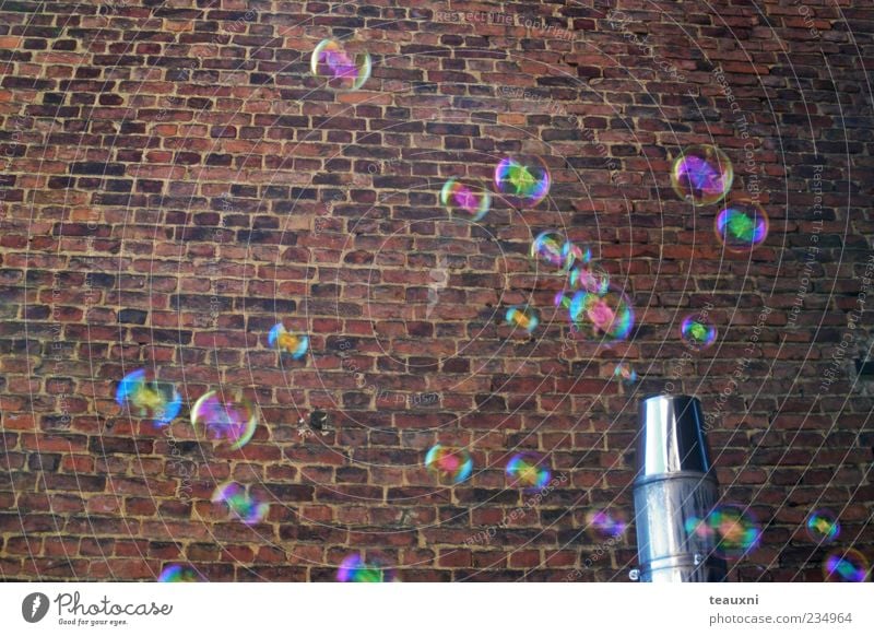 bubbly 2 Mauer Wand Seifenblase Stein fliegen Fröhlichkeit Vergänglichkeit Farbfoto Backsteinwand schimmern Schweben Menschenleer Hintergrundbild