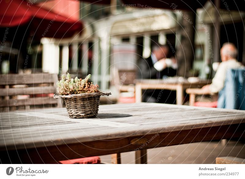 Kaffeepause Lifestyle harmonisch Wohlgefühl Zufriedenheit Café Mensch maskulin Freundschaft Erwachsene 2 45-60 Jahre Dekoration & Verzierung Tisch Stuhl