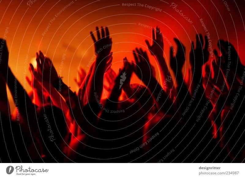 „Hosanna“ Feste & Feiern Arme Hand Finger Menschenmenge Konzert Fan dunkel Zusammensein wild Glück Begeisterung Euphorie Einigkeit Sympathie Hoffnung Glaube