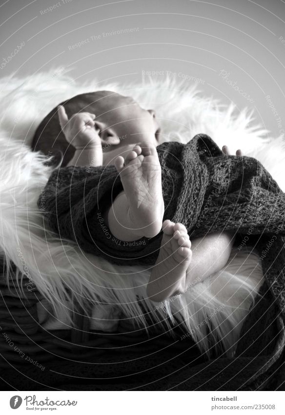 Newborn Baby 1 Mensch 0-12 Monate Beginn einzigartig Leben Innenaufnahme Tag gähnen liegen Zeigefinger schlafen Geborgenheit aufwachen Fuß niedlich Kontrolle