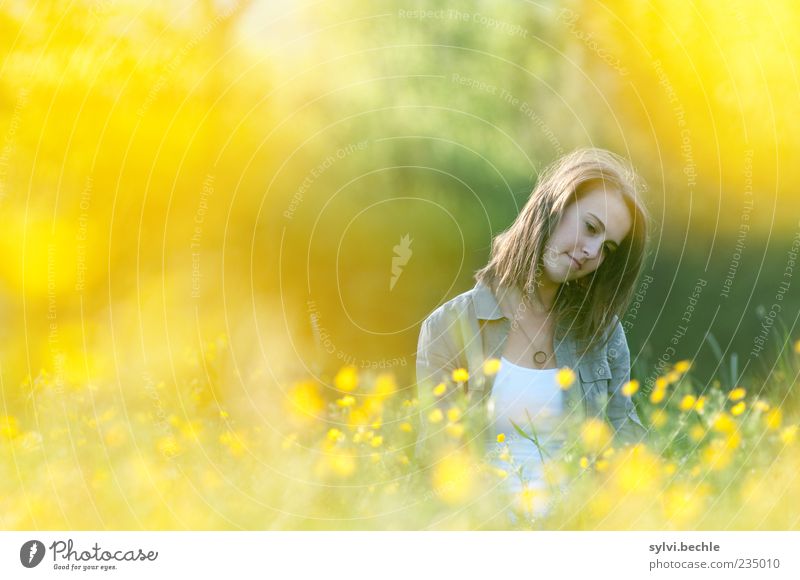 yellow paradise II Erholung ruhig Mensch feminin Junge Frau Jugendliche Leben 1 Umwelt Natur Pflanze Frühling Sommer Blume Blüte gelb Geborgenheit