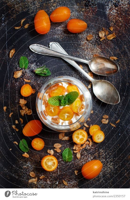 Chiapudding-Parfait, geschichtet mit Kumquat und Müsli Joghurt Frucht Dessert Essen Frühstück Diät Schalen & Schüsseln Löffel dunkel hell grün weiß Farbe