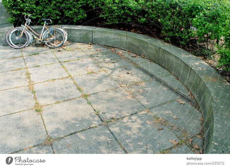 rundkurs Fahrrad Abstellplatz Pause Beton Hecke Bank Farbfoto Außenaufnahme Licht Schatten Kontrast Menschenleer 2