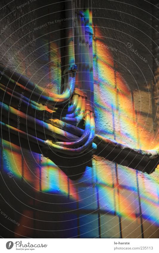 Regenbogen indoor Kabel regenbogenfarben Mauer Wand Inspiration Farbfoto mehrfarbig Innenaufnahme Detailaufnahme Sonnenlicht Stahlkabel Aufputzinstallation