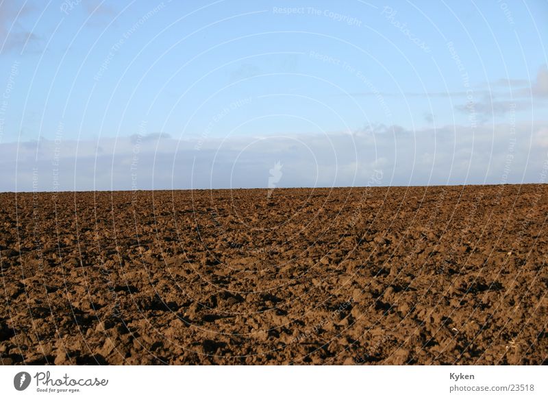 Mutter Erde Feld Wiese braun Horizont Ackerbau Himmel blau Kontrast Natur