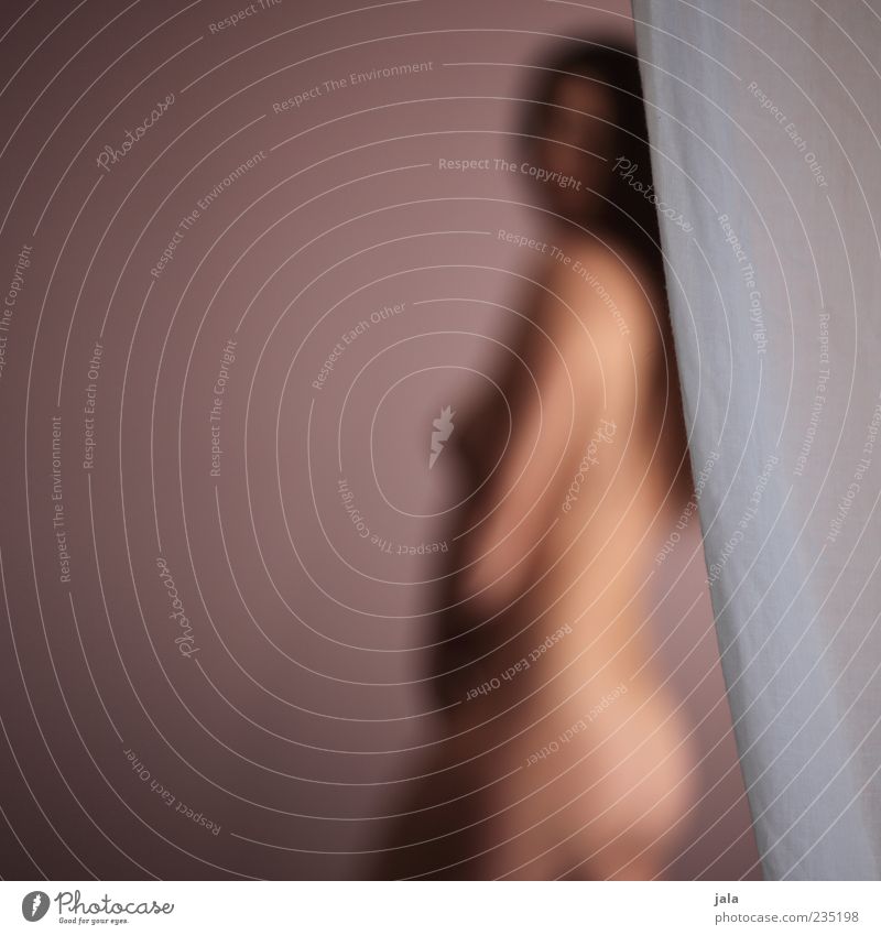 strip Mensch feminin Frau Erwachsene 1 Erotik nackt violett Vorhang Farbfoto Innenaufnahme Textfreiraum links Hintergrund neutral Tag Unschärfe