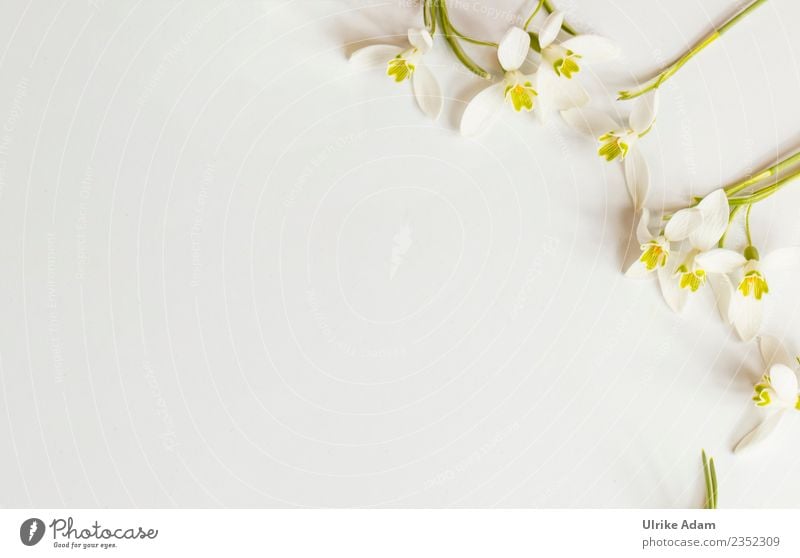 Romantischer Blumen Rahmen auf hellem Hintergrund Wellness Leben harmonisch Zufriedenheit Erholung Meditation Postkarte Muster Feste & Feiern Valentinstag