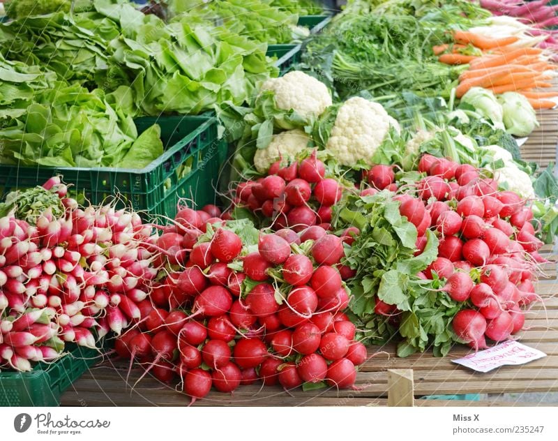 Radieschen Lebensmittel Gemüse Salat Salatbeilage Ernährung Bioprodukte Vegetarische Ernährung frisch Gesundheit lecker saftig grün rot Wochenmarkt Gemüsemarkt