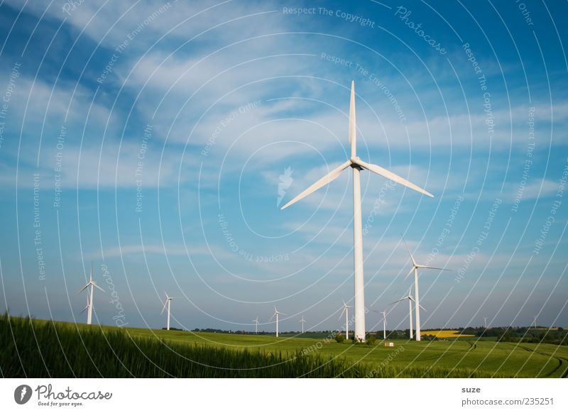 Viel Wind um nix Energiewirtschaft Erneuerbare Energie Windkraftanlage Umwelt Natur Landschaft Luft Himmel Klima Klimawandel Schönes Wetter Wiese Feld blau