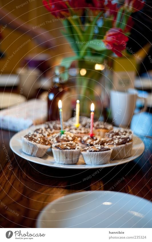 licht und lecker Kuchen Dessert Ernährung Kaffeetrinken Feste & Feiern Geburtstag süß grün rot weiß Freude Fröhlichkeit Muffin Kerze Farbfoto mehrfarbig