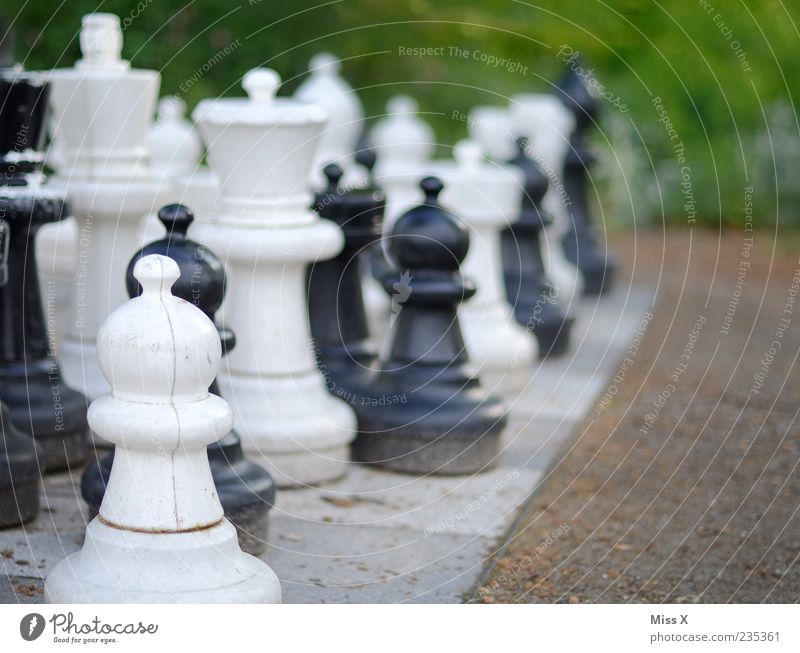 Gartenschach Freizeit & Hobby Spielen Brettspiel Schach Park Konzentration planen Schachfigur Schachbrett Verstand schwarz weiß outdoorschach Farbfoto