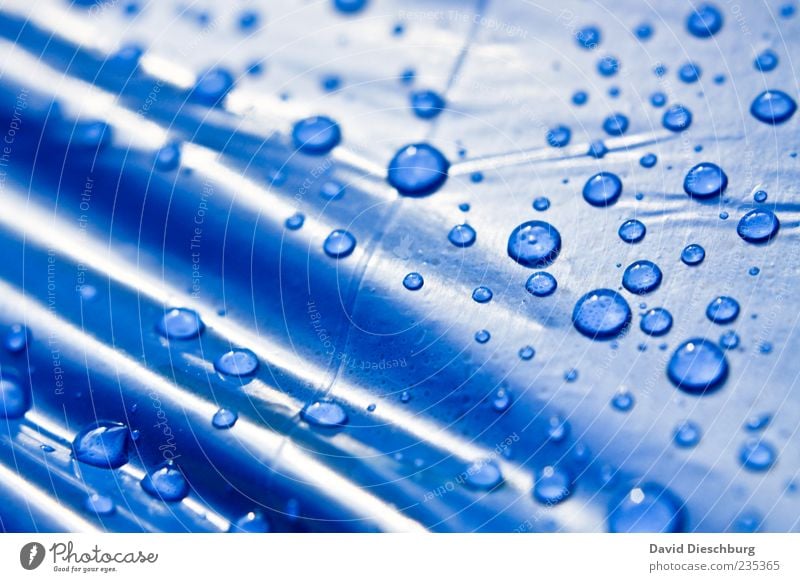 Blue Pealfamily Wasser Wassertropfen blau nass feucht Tropfen Tau Abdeckung Wellenform glänzend Oberfläche rund Falte Strukturen & Formen Farbfoto Nahaufnahme