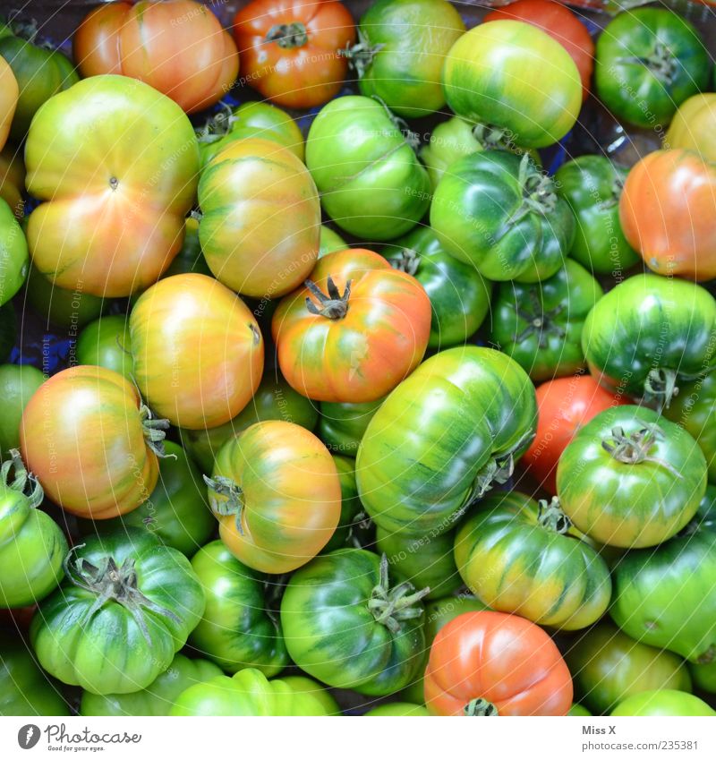 Grüne Tomaten Lebensmittel Gemüse Ernährung Bioprodukte Vegetarische Ernährung frisch lecker rund saftig sauer grün unreif Farbfoto mehrfarbig Nahaufnahme