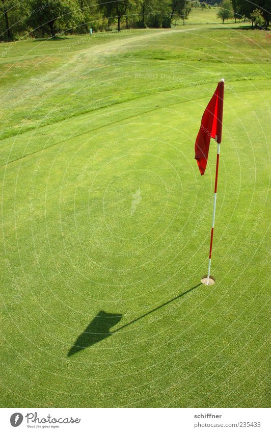 HIER - ist der schönste Grashalm Golf grün Konkurrenz Ziel Golfplatz Ballsport zielstrebig Fahne Loch einlochen Erfolg Sportrasen Putten Golfloch Außenaufnahme