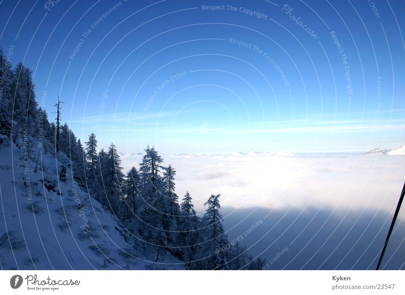der zweite Ausblick Winter weiß Baum kalt Tanne Berghang Nebel Berge u. Gebirge blau Schnee