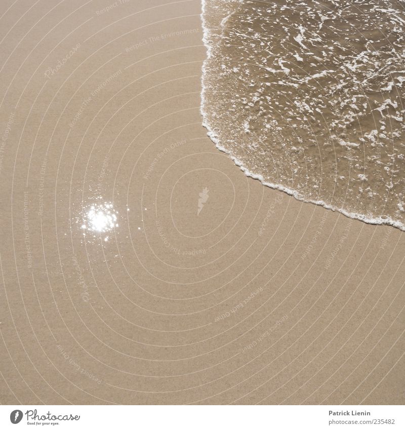 sun is shining Umwelt Natur Urelemente Sand Wasser Sonne Wetter Schönes Wetter Küste Strand Nordsee Meer ästhetisch Bewegung Leichtigkeit rund Farbfoto