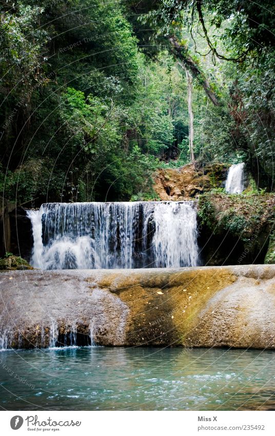 Wasserfall Umwelt Natur Landschaft Wald Urwald Felsen exotisch nass Jamaika Farbfoto mehrfarbig Außenaufnahme Menschenleer Schatten Bewegungsunschärfe