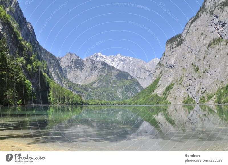Ein Ort zum Träumen Natur Landschaft Pflanze Wasser Himmel Wolkenloser Himmel Schönes Wetter Baum Felsen Alpen Berge u. Gebirge Berchtesgadener Alpen Gipfel