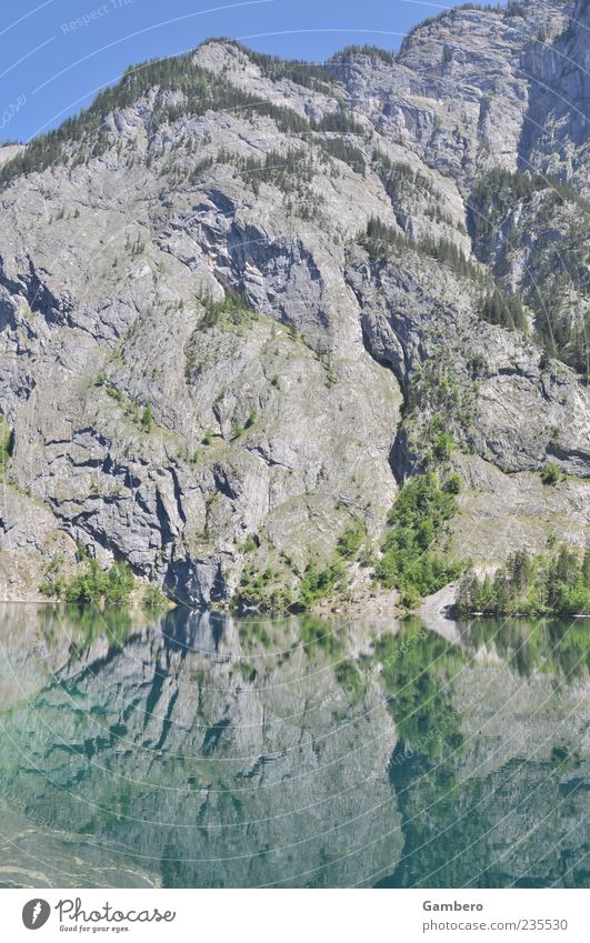Magie der Berge Natur Landschaft Pflanze Wasser Himmel Wolkenloser Himmel Sonnenlicht Schönes Wetter Baum Felsen Alpen Berge u. Gebirge Berchtesgadener Alpen