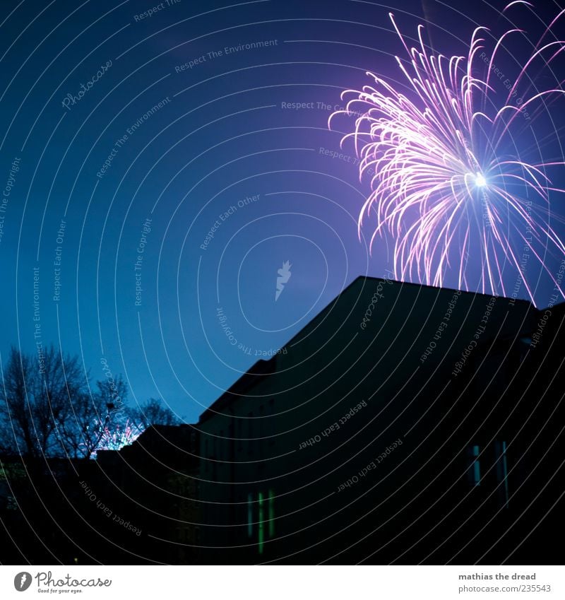 FINALE Lifestyle Nachtleben Feste & Feiern Silvester u. Neujahr Baum Haus Mauer Wand Fassade Fenster Dach dunkel fantastisch blau einzigartig Feuerwerk laut