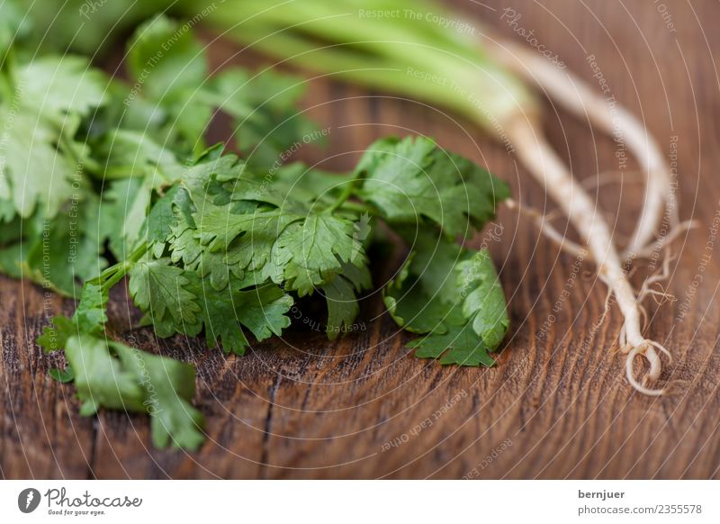 Koriander auf dunklem Holz Lebensmittel Gemüse Kräuter & Gewürze Ernährung Vegetarische Ernährung Diät Natur Pflanze dunkel frisch klein braun grün Cilantro