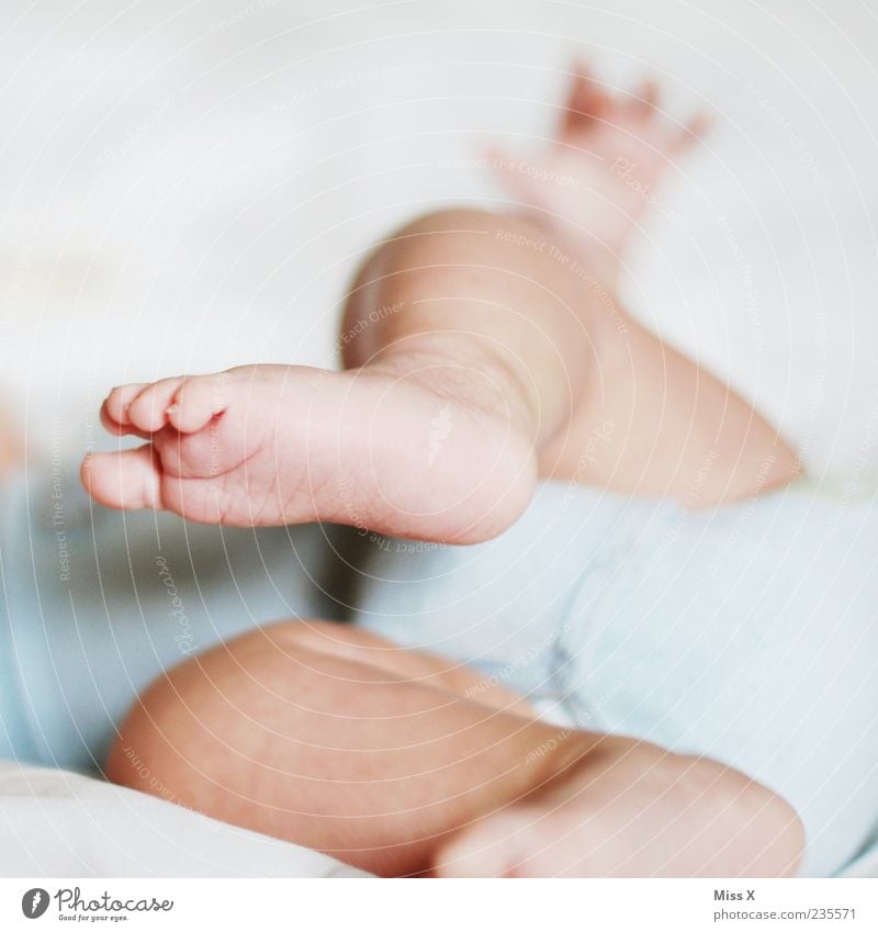 Hüpf Mensch Baby Kindheit Beine Fuß 1 0-12 Monate Spielen Vertrauen Sicherheit Geborgenheit Warmherzigkeit babyblau Babybett niedlich Farbfoto Innenaufnahme