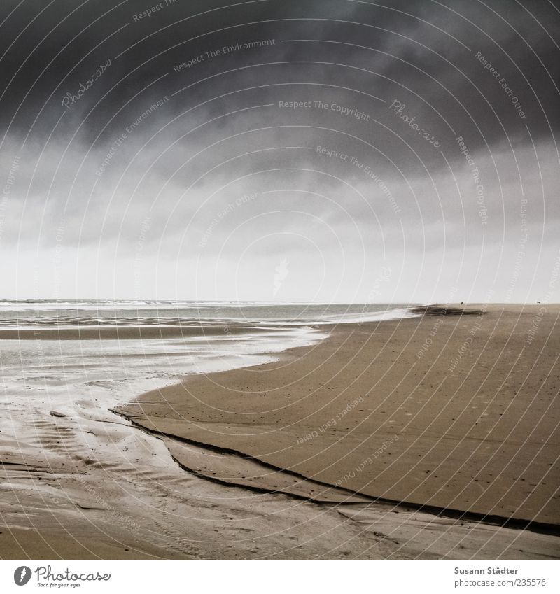 Spiekeroog | endless Wasser Regen Gewitter Wellen Küste Strand Nordsee Wattenmeer Wolken Meer Furche Spuren Naturgewalt dunkel Farbfoto Außenaufnahme Abend