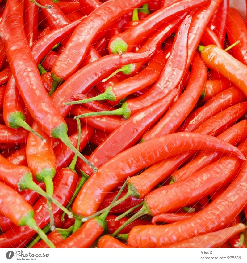 Scharf Lebensmittel Gemüse Kräuter & Gewürze Ernährung Bioprodukte Vegetarische Ernährung frisch lecker rot Scharfer Geschmack Chili Chiliernte Wochenmarkt