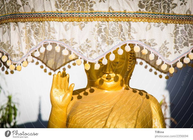 Buddha in the shade Ferien & Urlaub & Reisen Ferne Sightseeing Sommer Skulptur Zeichen ästhetisch Wandel & Veränderung Zufriedenheit Buddha Statue Laos gold