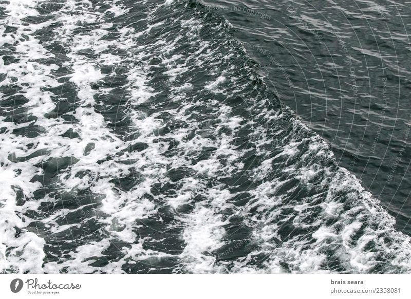 Welle Ferien & Urlaub & Reisen Meer Wellen Natur Wasser Klima schlechtes Wetter Küste Bucht Insel Schifffahrt Bewegung maritim blau gefährlich Idylle winken