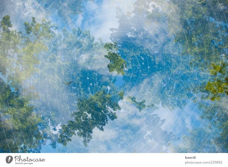 sUchbild Umwelt Natur Pflanze Himmel Wolken Wetter Baum blau grün Stimmung Frühlingsgefühle Kunst Perspektive Doppelbelichtung verschwimmen Landschaft Farbfoto