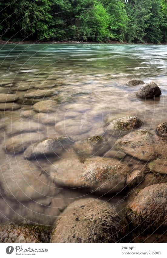 auf zu neuen Ufern Umwelt Natur Landschaft Pflanze Erde Wasser Sonnenlicht Sommer Wellen Flussufer Bach ästhetisch blau braun grün fließen Stein steinig türkis
