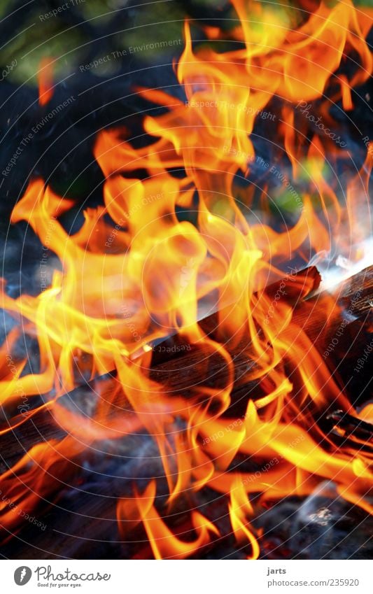 burn Holz heiß Feuer Lagerfeuer Flamme glühend Farbfoto Außenaufnahme Nahaufnahme Menschenleer Wärme Feuerstelle brennen gefährlich