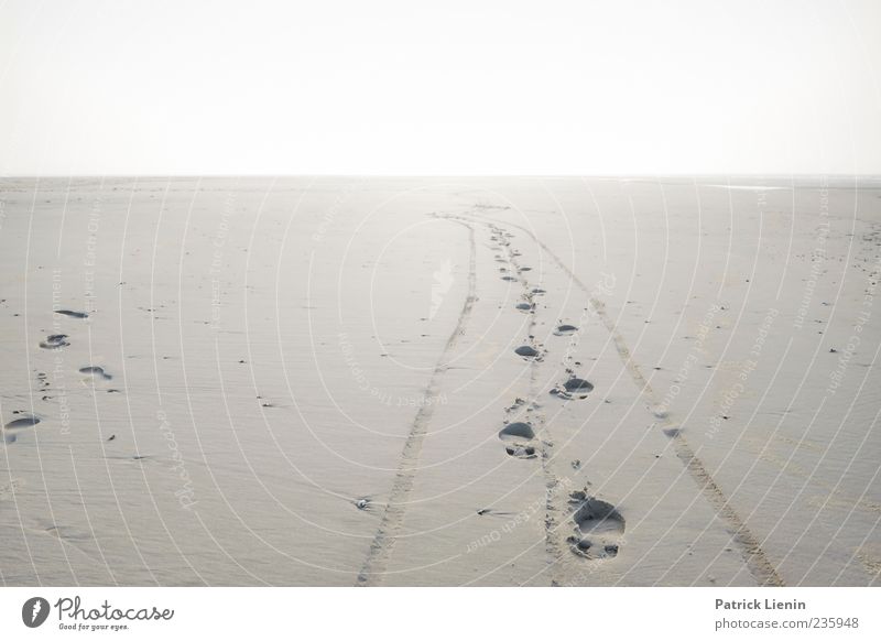 Spiekeroog | Space Odyssey Ferien & Urlaub & Reisen Ferne Strand Insel Umwelt Natur Landschaft Erde Sand Horizont Sonne Klima Wetter Fußspur laufen hell
