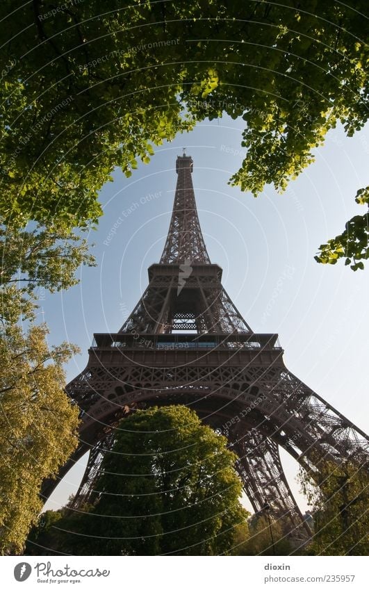 Wahrzeichen Himmel Wolkenloser Himmel Schönes Wetter Pflanze Baum Blatt Grünpflanze Park Paris Frankreich Europa Hauptstadt Turm Bauwerk Architektur
