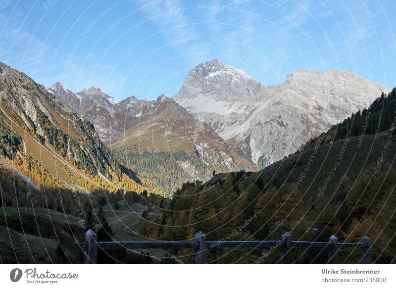 Am Berninapass Natur Landschaft Pflanze Himmel Sonnenlicht Herbst Schönes Wetter Baum Sträucher Felsen Alpen Berge u. Gebirge Schweiz Gipfel Schlucht