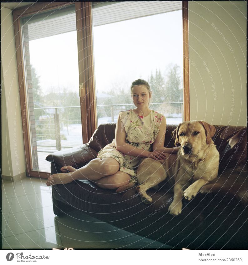 Junge Frau sitzt barfuß auf einer braunen Leder- Couch mit einem blonden Labrador - analoges Mittelformat mit Bildrahmen schön harmonisch Sofa Balkonfenster