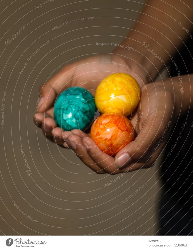 Bitte sehr! Lebensmittel Mensch Kindheit Hand Finger 1 festhalten Feiertag Ostern Tradition Ei anbieten schenken Geschenk dreifarbig dunkelhäutig Präsentation