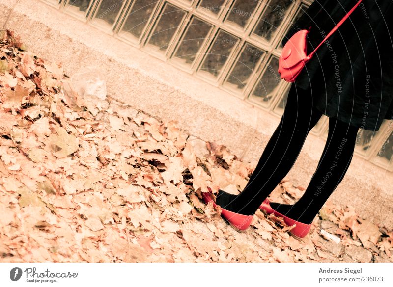 Last Exit Mensch feminin Frau Erwachsene Beine 1 Herbst Blatt Mantel Strumpfhose Accessoire Handtasche Schuhe stehen retro rot schwarz Glasbaustein Farbfoto