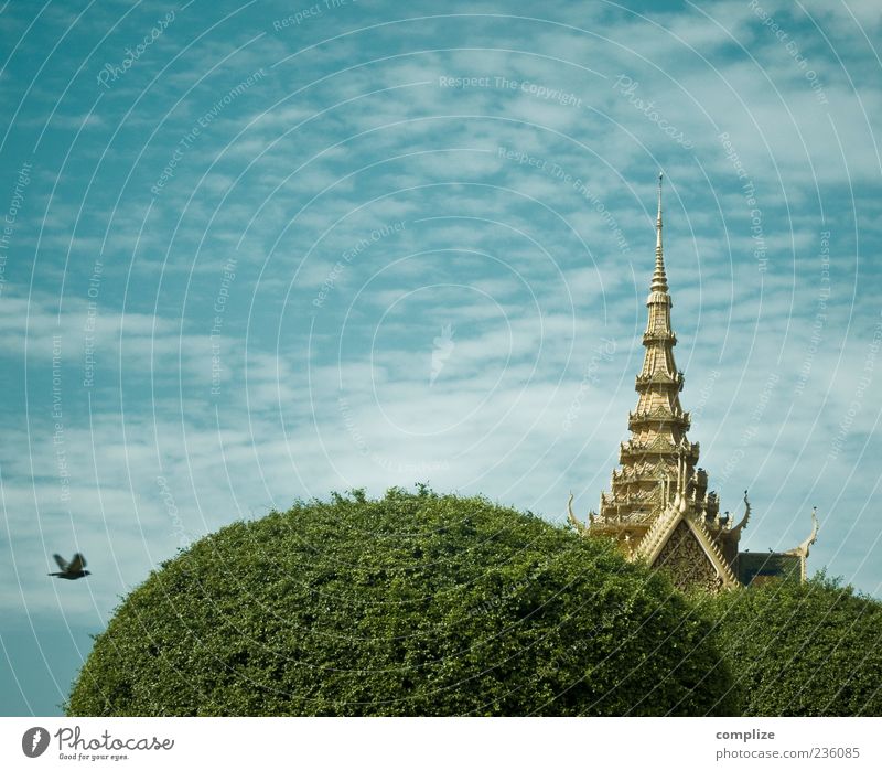 OAo Ferien & Urlaub & Reisen Sightseeing Luft Himmel Wolken Baum Hauptstadt Architektur Dach Sehenswürdigkeit Wahrzeichen Vogel blau gold phnom phen Kambodscha