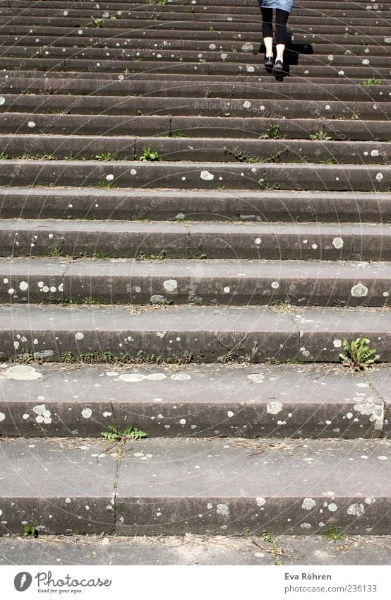 Treppenaufstieg Beine 1 Mensch Fußgänger Rock Leggings Beton Bewegung gehen oben grau Ausdauer anstrengen Farbfoto Außenaufnahme Tag Rückansicht