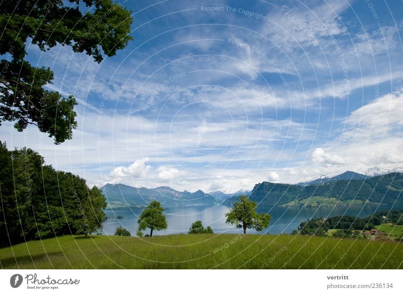 Überblick Natur Landschaft Himmel Wolken Schönes Wetter Baum Alpen Berge u. Gebirge Gipfel Schneebedeckte Gipfel Seeufer natürlich blau grün Wasser Wiese
