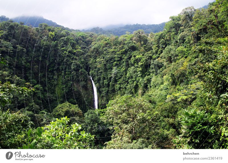 durchatmen Ferien & Urlaub & Reisen Tourismus Ausflug Abenteuer Ferne Freiheit Umwelt Natur Landschaft Pflanze Wolken Klimawandel Baum Blatt Urwald Costa Rica