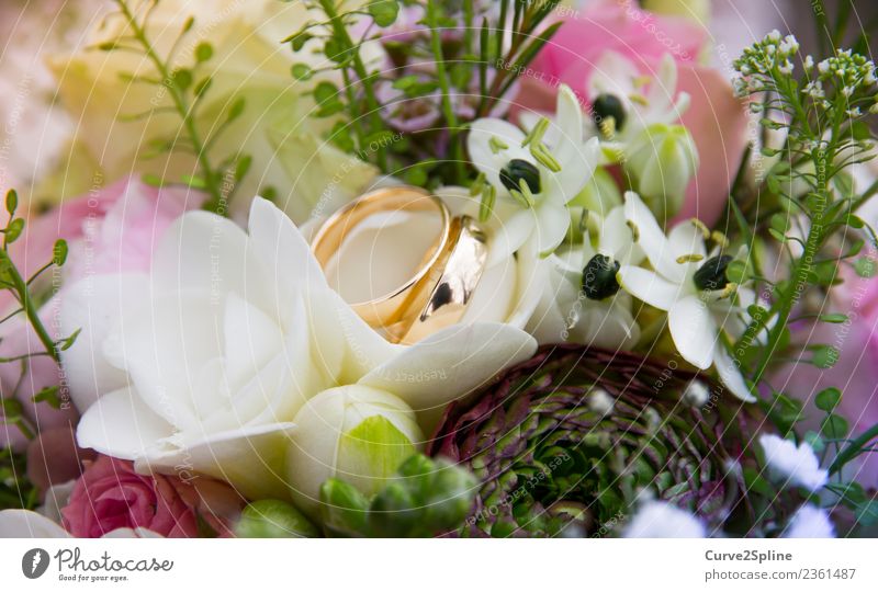 Für immer und ewig Zeichen Gefühle Ehe Ehering Gold Blume Verbundenheit Treue Ewigkeit Zusammensein Zusammenhalt Ring Blumenstrauß Hochzeit