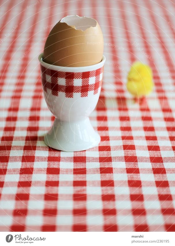chicken run Lebensmittel Ernährung Frühstück Geschirr rot weiß Haushuhn Symbole & Metaphern kariert Eierbecher Eierschale frisch Küken Vogel Farbfoto