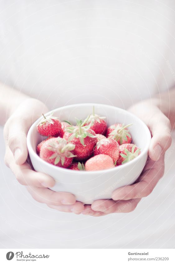 Fraises Lebensmittel Frucht Ernährung Bioprodukte Slowfood Schalen & Schüsseln Sommer rot weiß Erdbeeren festhalten Hand lecker süß Farbfoto Gedeckte Farben