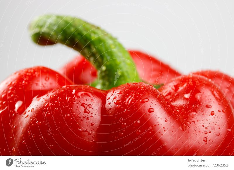Frischer roter Paprika Gemüse Ernährung Wassertropfen frisch Gesundheit reich schön feminin Vitamin reif vitaminreich Zutaten Ernte Farbfoto Studioaufnahme